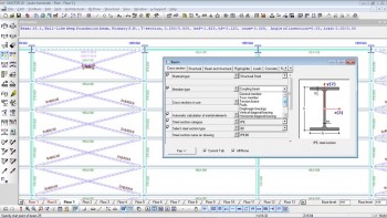 Beam type selection – truss member, tension member, purlin, diagonal bracing, etc