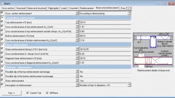 The quantities of longitudinal and shear reinforcement are assigned to the beam end through the relevant properties.